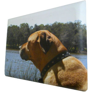 Canvas with rounded corners of dog